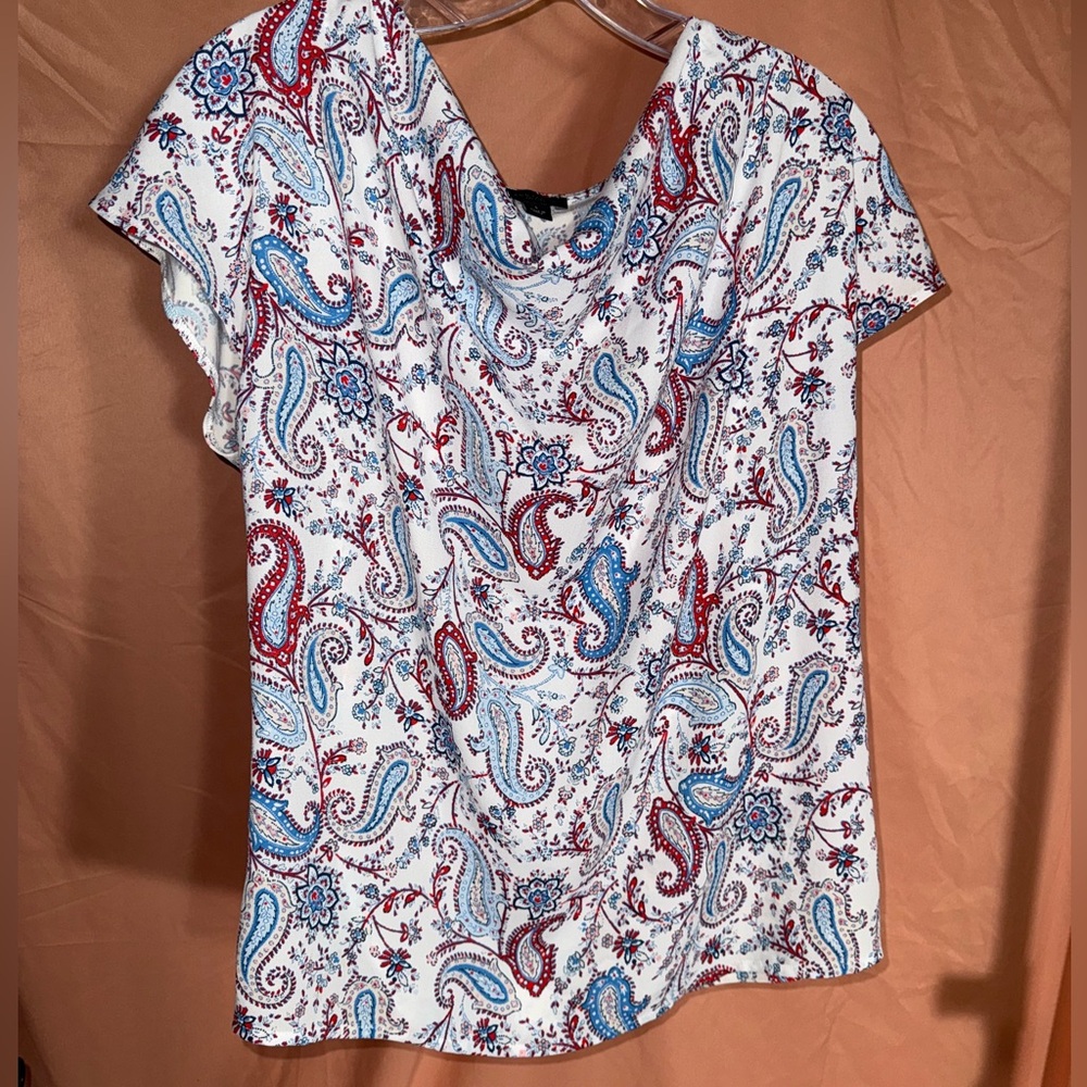 Ann Taylor large